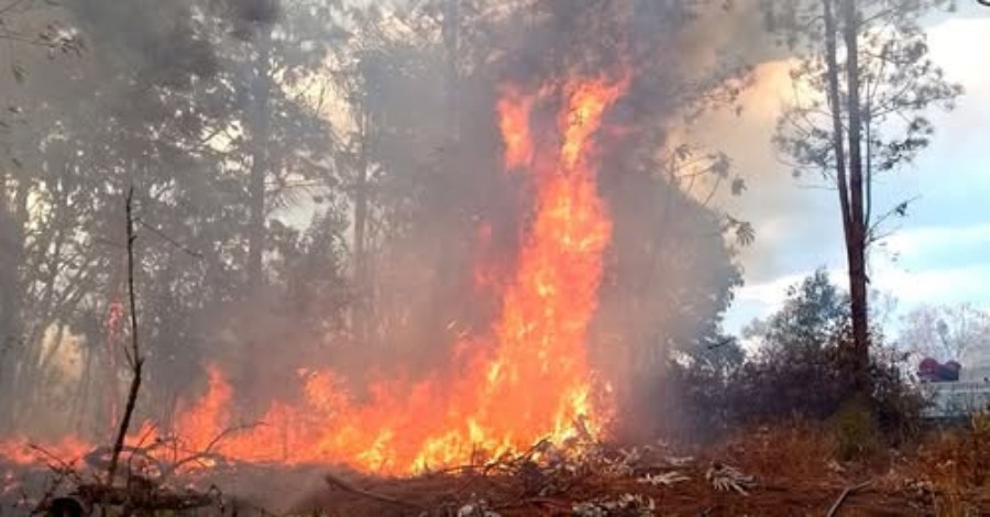 Misiones: Advierten que la Provincia “Aplicará Todo el Peso de la Ley” a los responsables de provocar incendios