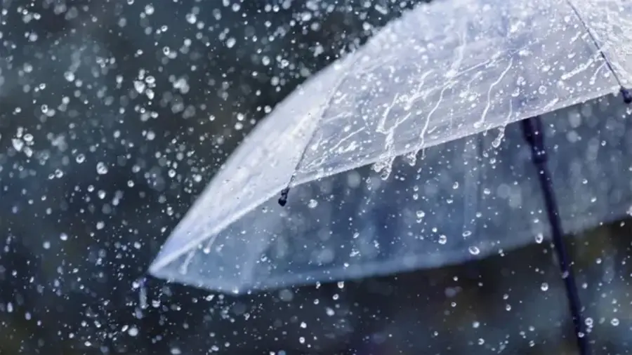 Previsión del tiempo en Misiones para los primeros días de la semana: Continúa elevada la inestabilidad en virtud de la presencia de una masa de aire cálido y húmedo en la región; se prevén lluvias leves en general