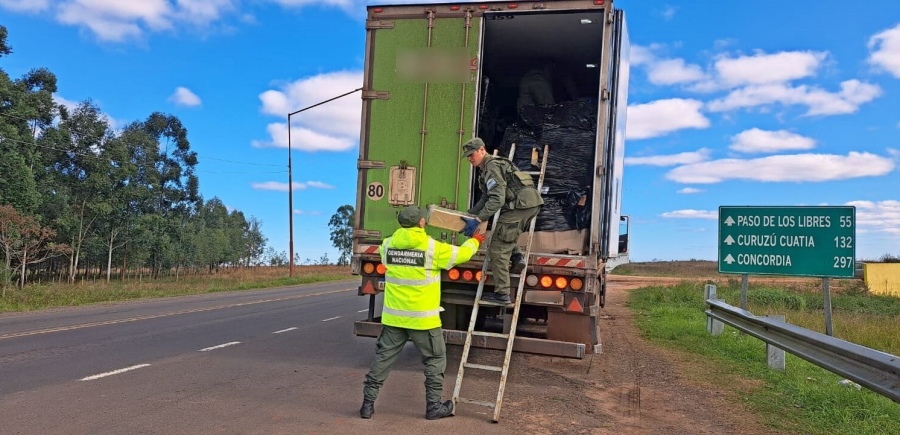 Marihuana con un valor de 83 millones de pesos era enviada por encomiendas, la paquetería fue interdictada luego de controlar un transporte de cargas proveniente de Misiones