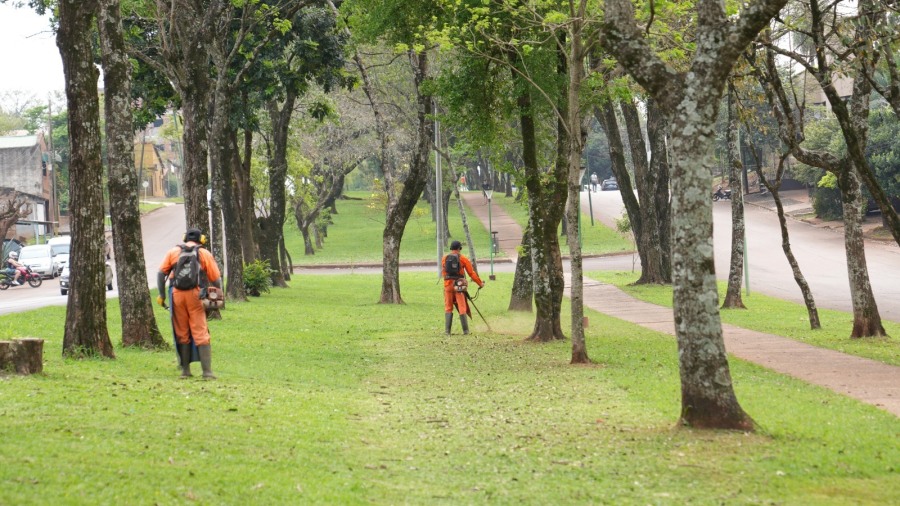 Apóstoles: Mejoramientos intensivos en césped de las plazas y plazoletas, con un trabajo diario para mantener la ciudad limpia y ordenada