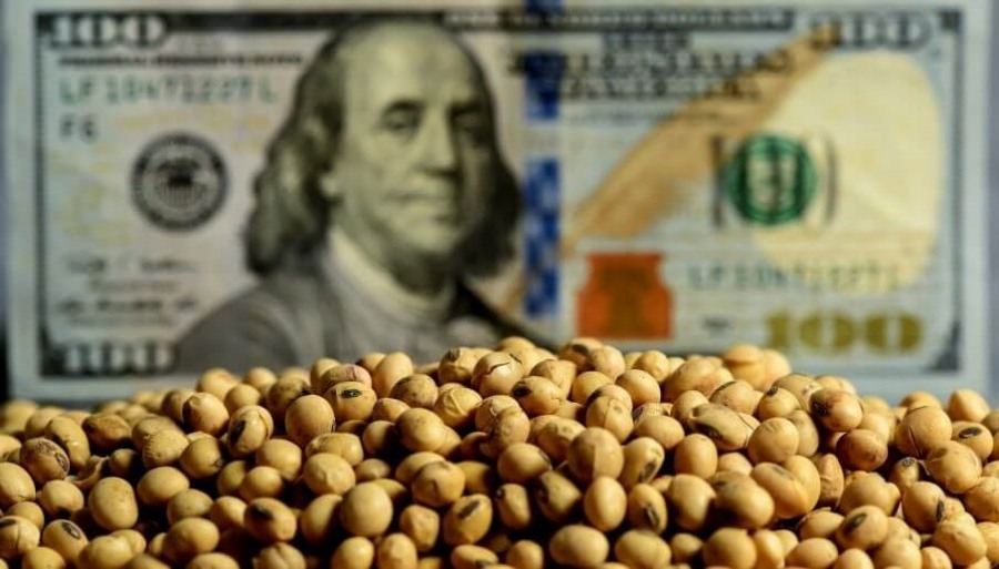 El balance del primer mes con retenciones “rebajadas”, las ventas de soja crecieron 32%