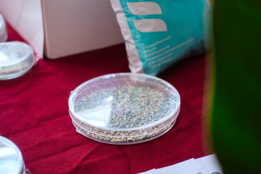 Bioinsumos desarrollados en la provincia de Misiones: Innovación productiva con base biológica