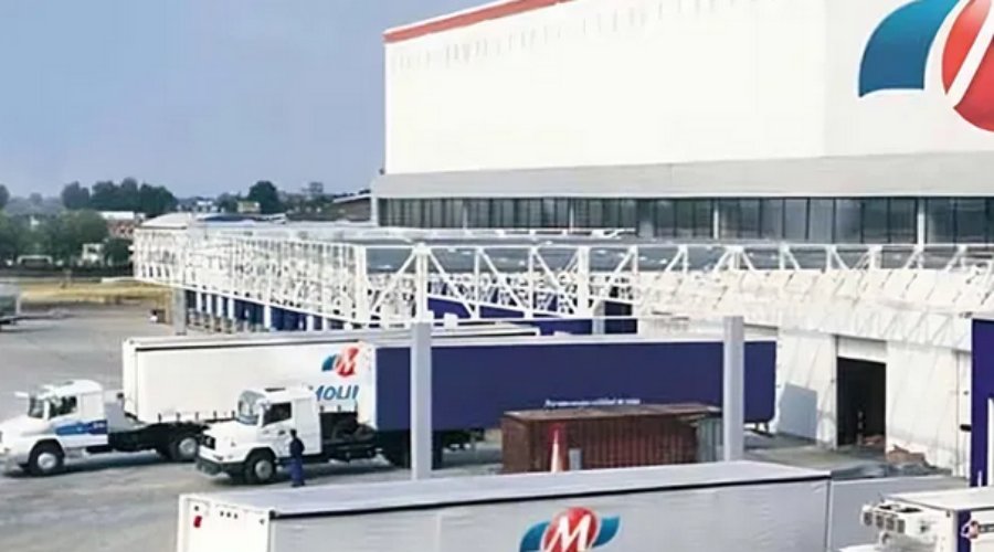 Presentó balance del primer trimestre: Molinos Río de la Plata consolida su recuperación y revierte los resultados negativos del año pasado