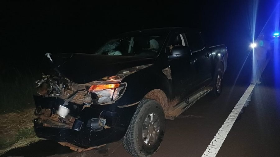Siniestro vial en jurisdicción del Municipio de San José: Una camioneta colisionó con un vacuno sobre la Ruta Nacional N° 14