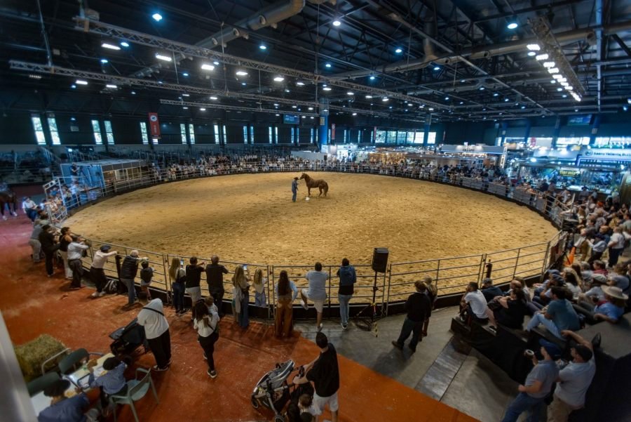 Tradición, emoción y pasión en una edición única de “Nuestros Caballos”: Con más de 45.000 visitantes culminó en La Rural de Palermo