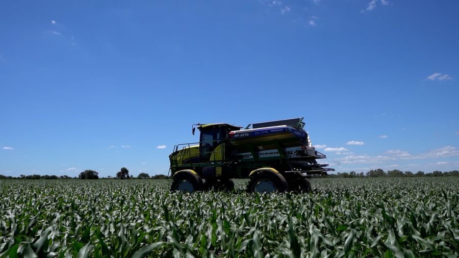 La nutrición del maíz evoluciona: Nitrógeno más eficiente, mejores resultados