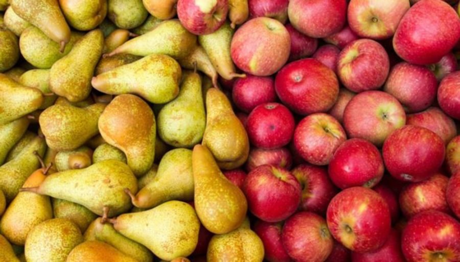 Color esperanza: Después de mucho tiempo, hay más economías regionales en verde que en rojo