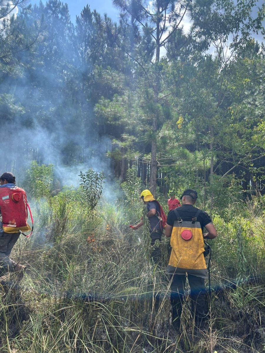 Bomberos de la Policía de Misiones controlaron un foco de incendio de malezas en cercanías a una plantación de pinos de la localidad misionera de Santa Ana