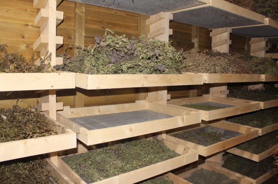 25 de Mayo: Productos deshidratados con identidad local en la Escuela de la Familia Agrícola Padre Antonio Sepp