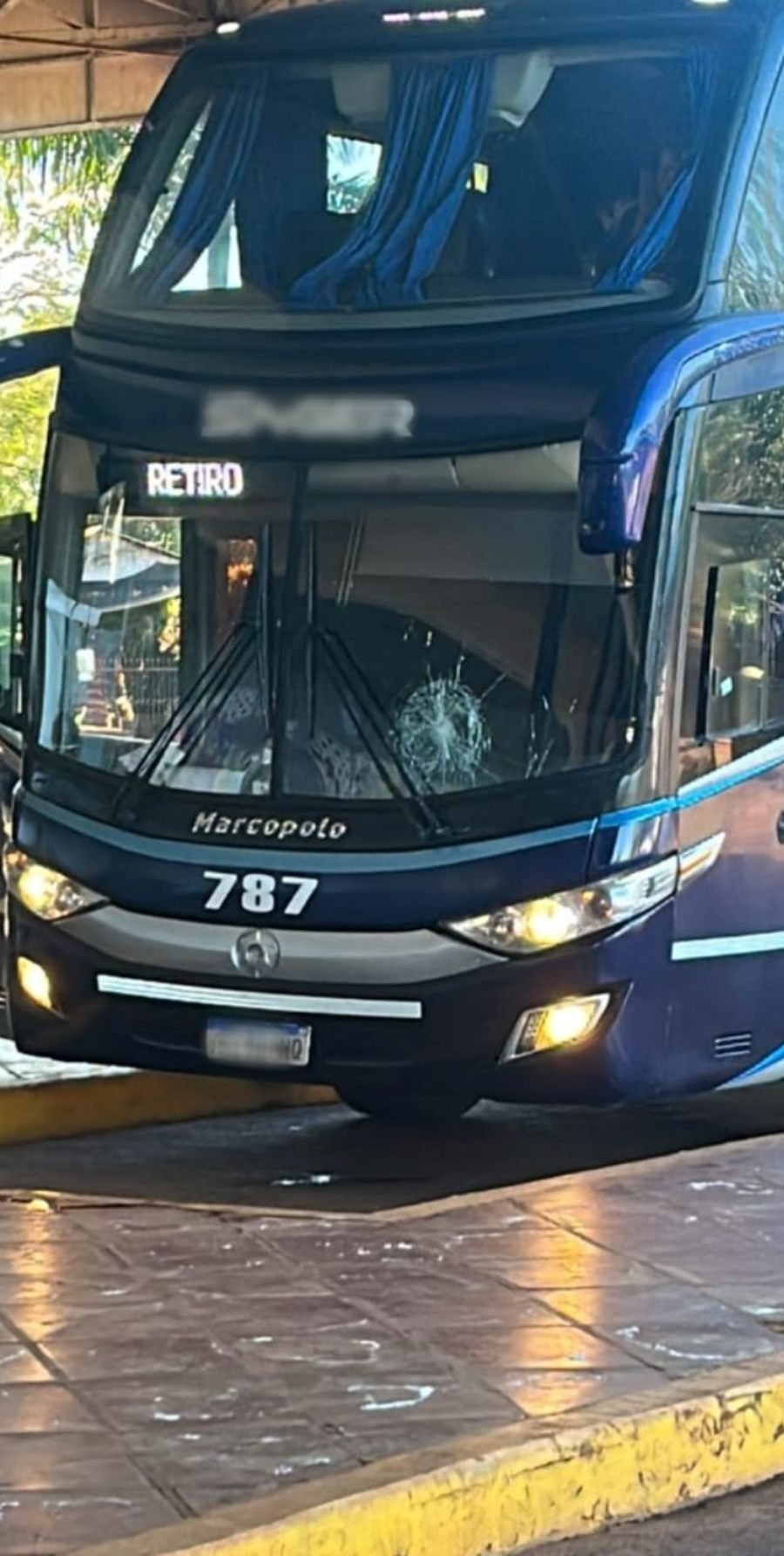 Puerto Esperanza: Llegó alcoholizado a la terminal, creyó que el ómnibus se había retrasado y lo atacó a pedradas, terminó preso