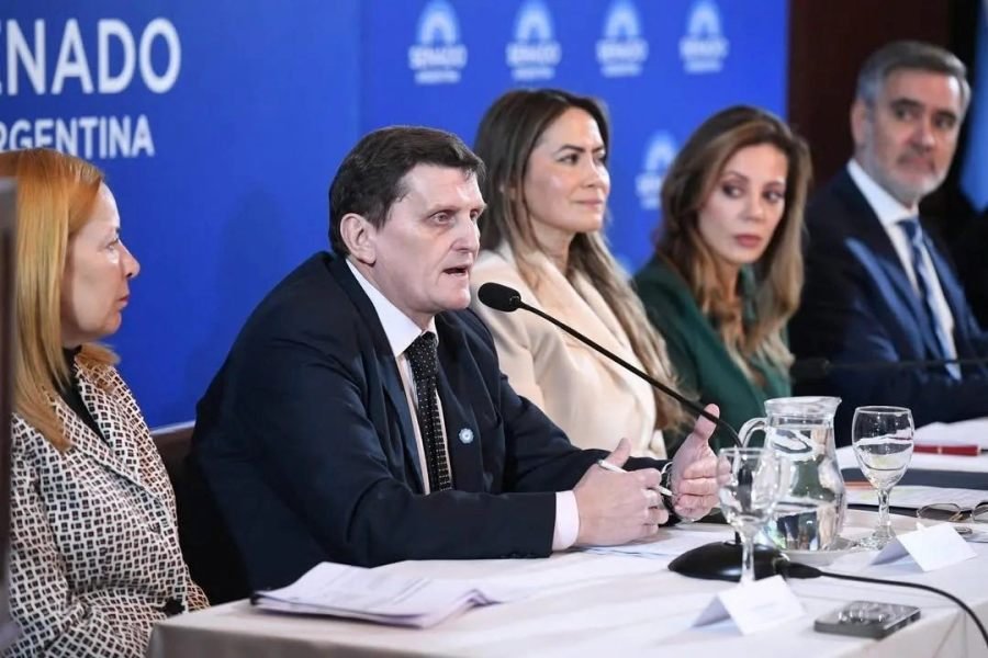 El Ministro Adolfo Safrán participó de la presentación del Proyecto de Ley de los Senadores por Misiones y expuso el caso de la provincia en el mercado de créditos de carbono