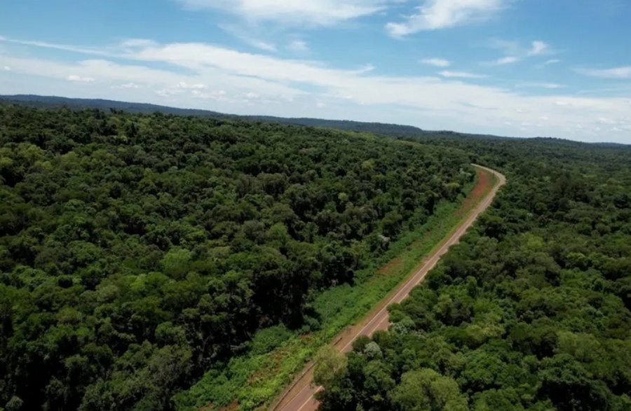 La provincia de Misiones avanzará con el Bono de Infraestructura y prepara el primer Bono Verde respaldado por créditos de carbono