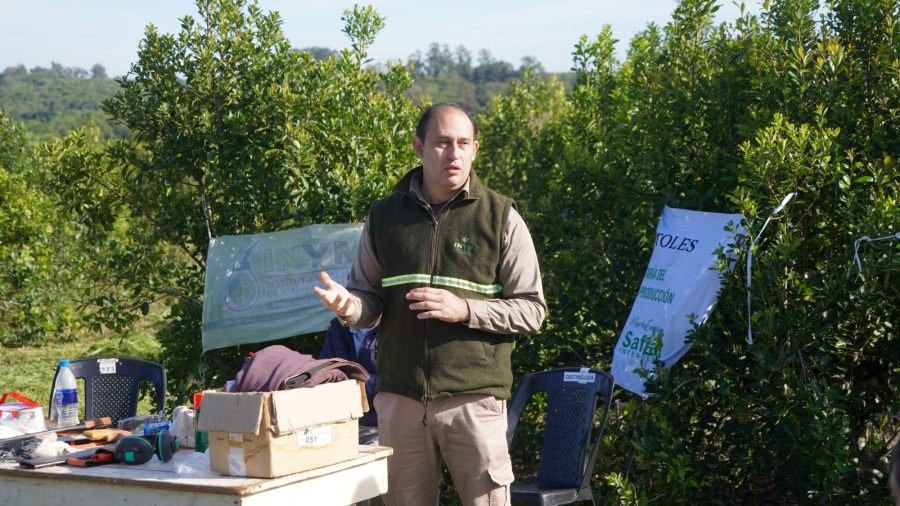 Apóstoles: Jornada de buenas prácticas en cosecha de yerba mate en el Paraje Coyal, que fortalecen la producción