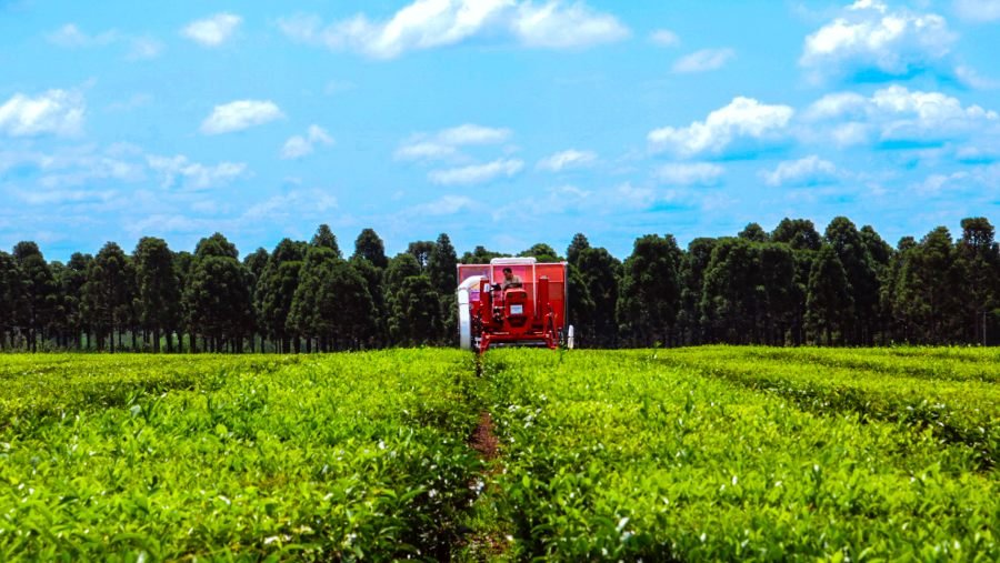La cartera agraria de Misiones articula con Cancillería y sectores productivos para fortalecer exportaciones misioneras