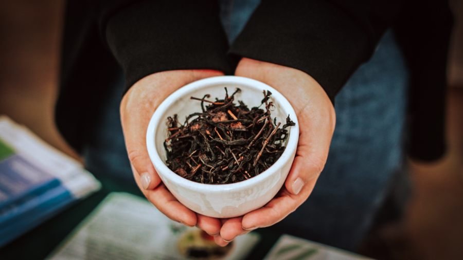 La provincia de Misiones fortalece el té gourmet con una estrategia que integra producción, calidad y agroturismo