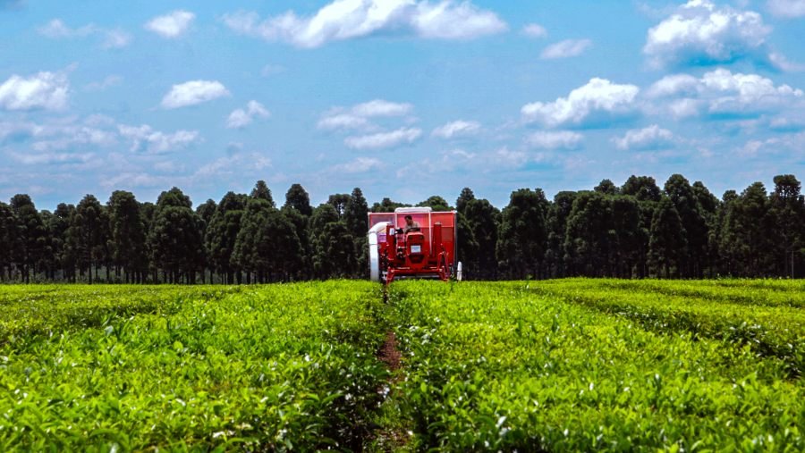 Acciones sustentables: Un año de transformación productiva con impacto ambiental, social y económico