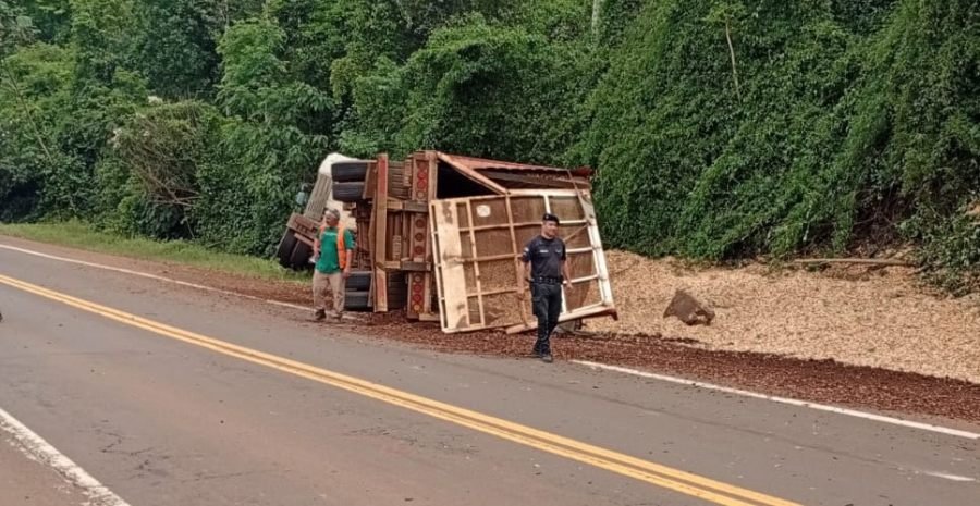 Siniestro vial: Camión despistó sobre la Ruta Nacional Nº 12 en el Municipio misionero de Puerto Piray