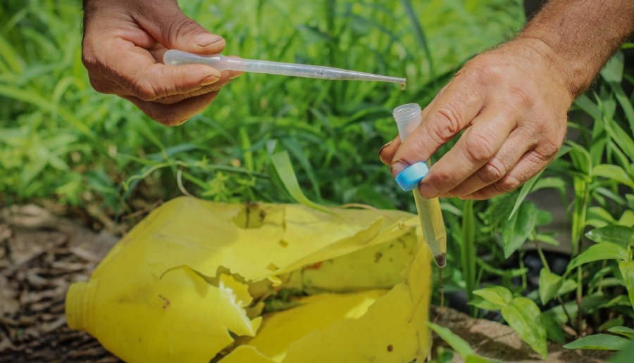 Posadas: Intensifican las tareas de prevención contra el Dengue